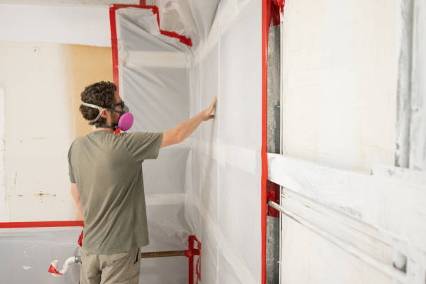 Trusted Schiller Park, IL Mold Removal Experts